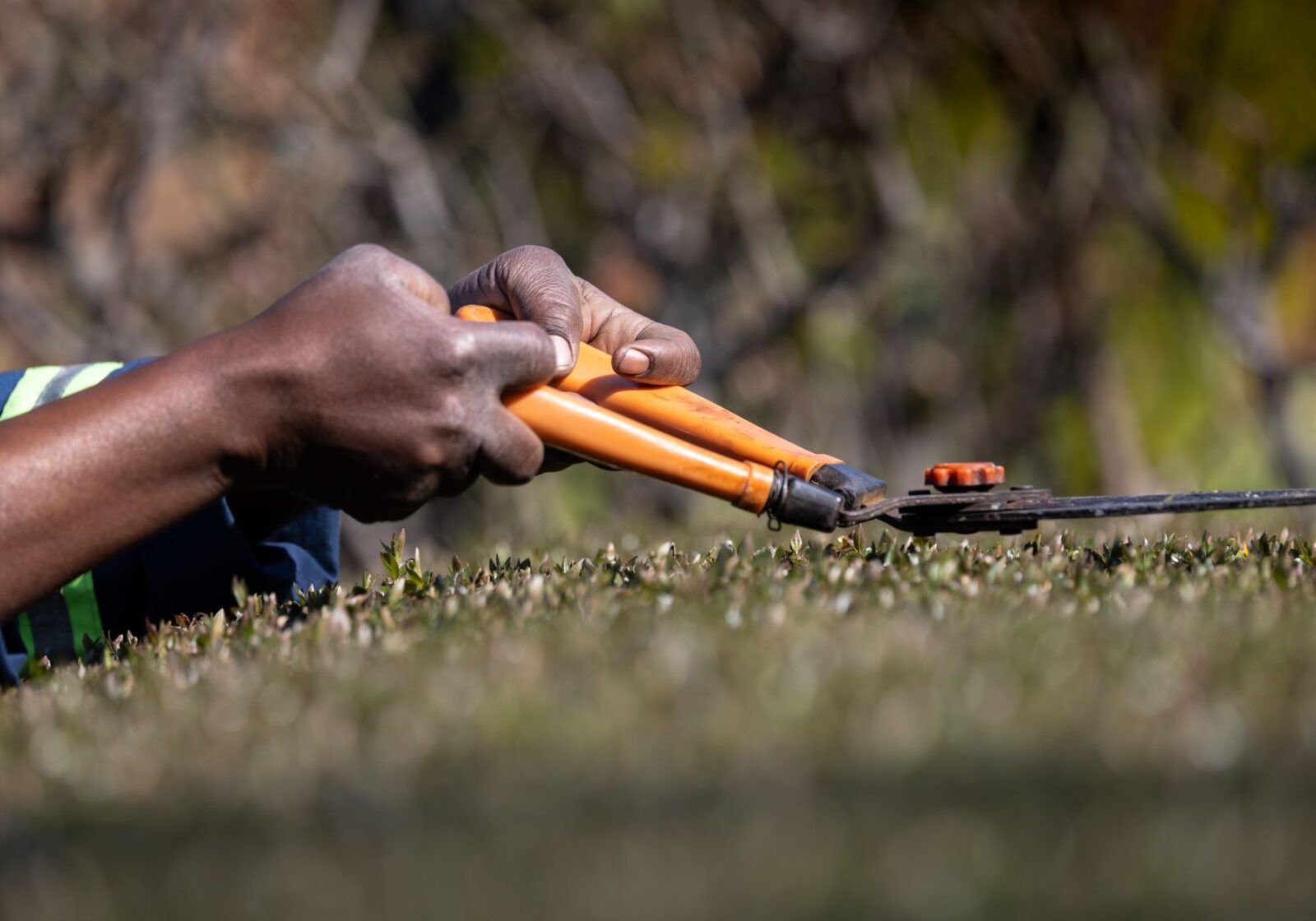 Tuinier met een gesmede snoeischaar in de hand